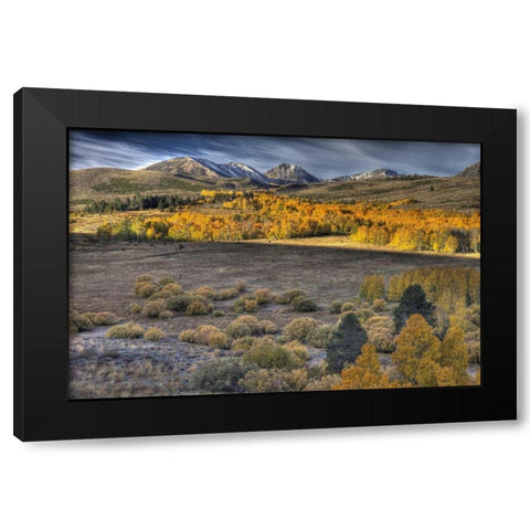 CA, Eastern Sierra Nevada from Conway Summit Black Modern Wood Framed Art Print by Carter, Jean