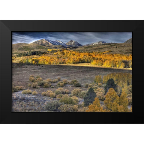 CA, Eastern Sierra Nevada from Conway Summit Black Modern Wood Framed Art Print by Carter, Jean