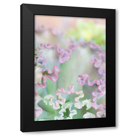 California, San Diego Abstract of succulent Black Modern Wood Framed Art Print by Paulson, Don