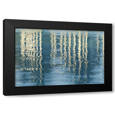 CA, San Diego Reflection on Childrens Park pool Black Modern Wood Framed Art Print with Double Matting by Paulson, Don