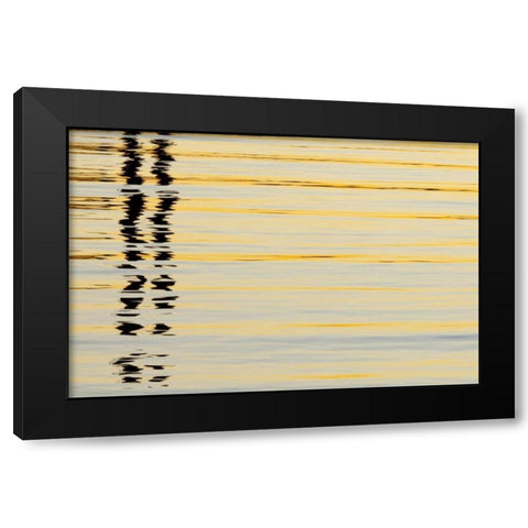 CA, San Diego Abstract reflections in the harbor Black Modern Wood Framed Art Print by Paulson, Don
