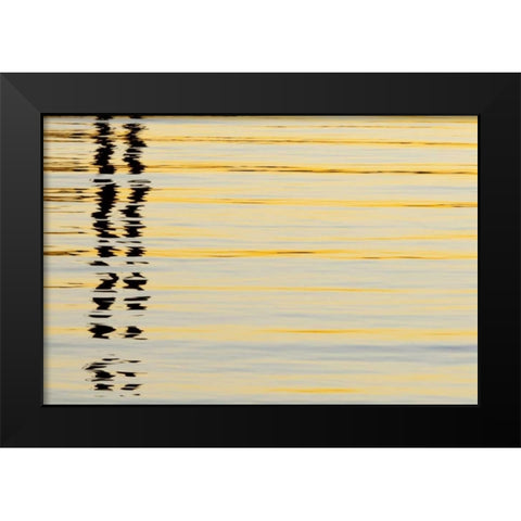 CA, San Diego Abstract reflections in the harbor Black Modern Wood Framed Art Print by Paulson, Don