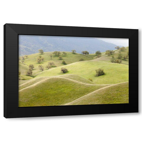 CA, Caliente Spring landscape Black Modern Wood Framed Art Print with Double Matting by Paulson, Don
