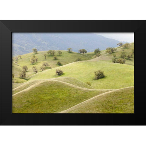 CA, Caliente Spring landscape Black Modern Wood Framed Art Print by Paulson, Don
