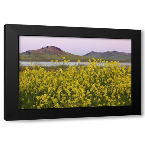 CA, Porterville Spring scenic with Lake Success Black Modern Wood Framed Art Print with Double Matting by Paulson, Don