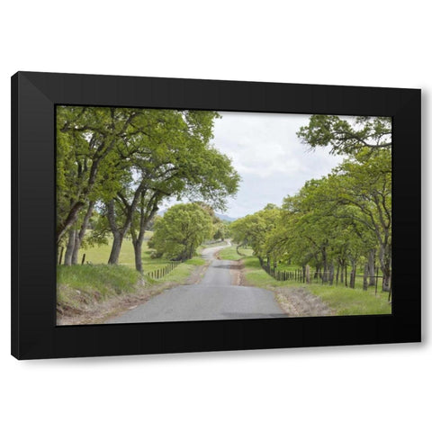 California, Chinese Camp Old Don Pedro Road Black Modern Wood Framed Art Print with Double Matting by Paulson, Don