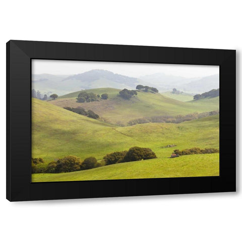 USA, California, Olema Landscape of farm fields Black Modern Wood Framed Art Print with Double Matting by Paulson, Don