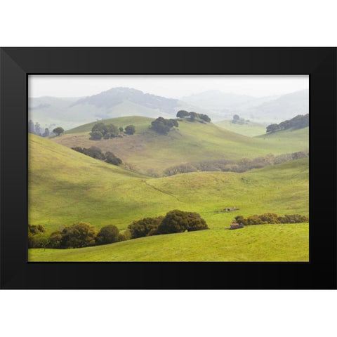 USA, California, Olema Landscape of farm fields Black Modern Wood Framed Art Print by Paulson, Don