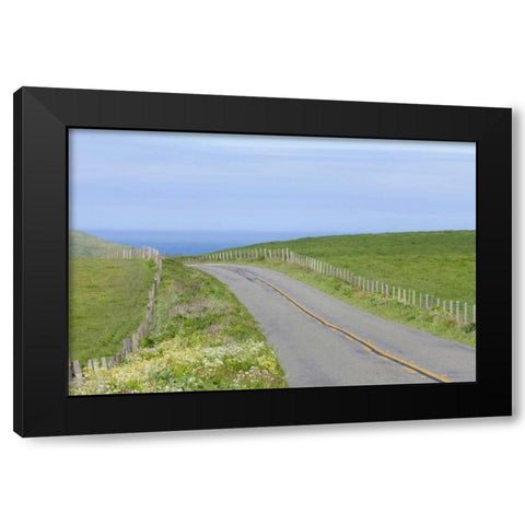 CA, Road through Point Reyes National Seashore Black Modern Wood Framed Art Print by Paulson, Don