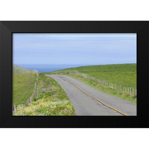 CA, Road through Point Reyes National Seashore Black Modern Wood Framed Art Print by Paulson, Don