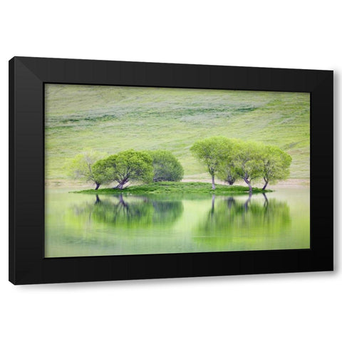 CA, Trees reflect in Black Butte Reservoir Black Modern Wood Framed Art Print with Double Matting by Paulson, Don