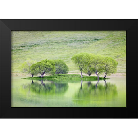 CA, Trees reflect in Black Butte Reservoir Black Modern Wood Framed Art Print by Paulson, Don