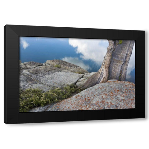 CA, Toiyabe NF Rocks and tree by Granite Lake Black Modern Wood Framed Art Print with Double Matting by Paulson, Don