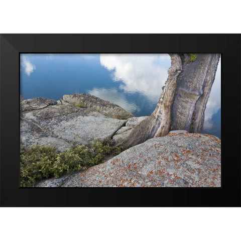CA, Toiyabe NF Rocks and tree by Granite Lake Black Modern Wood Framed Art Print by Paulson, Don