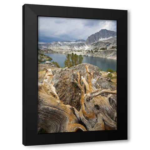 California, Inyo National Forest Steelhead Lake Black Modern Wood Framed Art Print with Double Matting by Paulson, Don