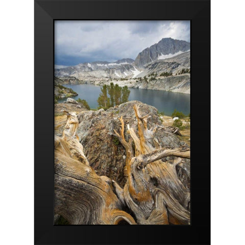California, Inyo National Forest Steelhead Lake Black Modern Wood Framed Art Print by Paulson, Don