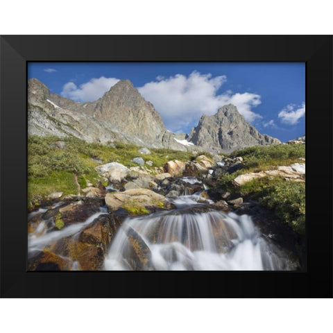 CA, Inyo NF Waterfalls below Mount Ritter Black Modern Wood Framed Art Print by Paulson, Don