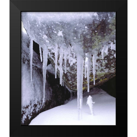 California, Icicles in the Cleveland NF Black Modern Wood Framed Art Print by Talbot Frank, Christopher