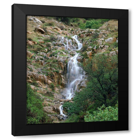 CA, San Diego, Mission Trails Park A waterfall Black Modern Wood Framed Art Print by Talbot Frank, Christopher