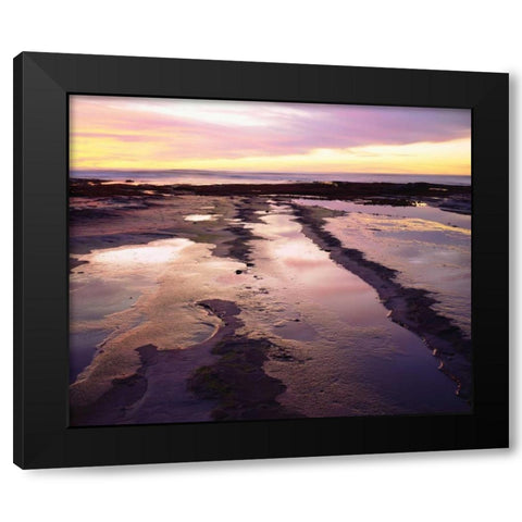 California, San Diego, Sunset Cliffs tide pools Black Modern Wood Framed Art Print by Talbot Frank, Christopher