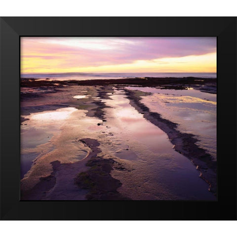 California, San Diego, Sunset Cliffs tide pools Black Modern Wood Framed Art Print by Talbot Frank, Christopher