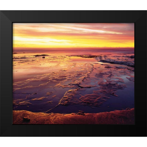 California, San Diego, Sunset Cliffs tide pools Black Modern Wood Framed Art Print by Talbot Frank, Christopher