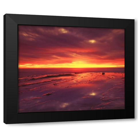 CA, San Diego, Sunset Cliffs tide pools at Sunset Black Modern Wood Framed Art Print by Talbot Frank, Christopher