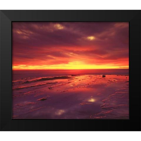 CA, San Diego, Sunset Cliffs tide pools at Sunset Black Modern Wood Framed Art Print by Talbot Frank, Christopher
