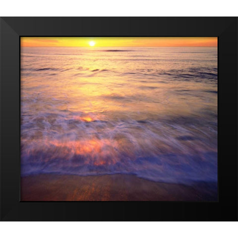 CA, San Diego Sunset Cliffs Beach at Sunset Black Modern Wood Framed Art Print by Talbot Frank, Christopher