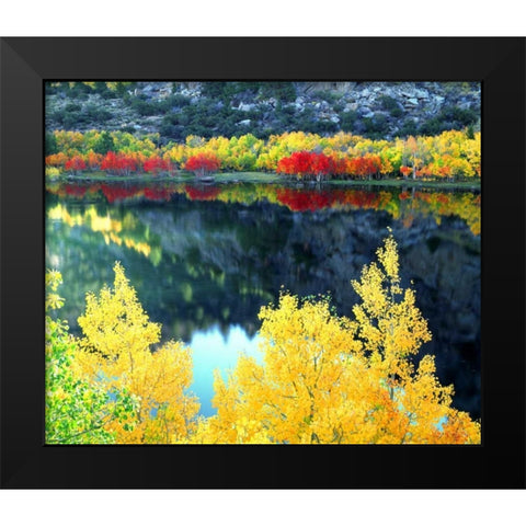 CA, Sierra Nevada, Autumn at Grant Lake Black Modern Wood Framed Art Print by Talbot Frank, Christopher