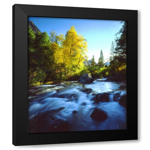 CA, Sierra Nevada, Autumn along a stream Black Modern Wood Framed Art Print with Double Matting by Talbot Frank, Christopher
