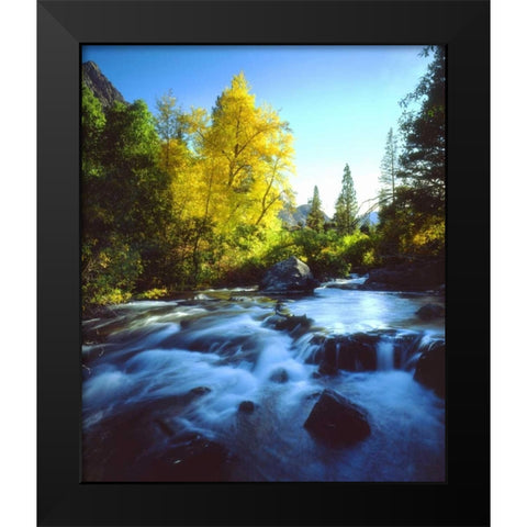 CA, Sierra Nevada, Autumn along a stream Black Modern Wood Framed Art Print by Talbot Frank, Christopher
