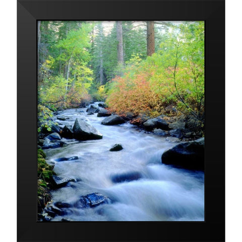 CA, Sierra Nevada, Autumn at Lee Vining Creek Black Modern Wood Framed Art Print by Talbot Frank, Christopher