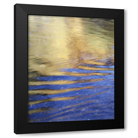 CA, Sierra Nevada, Autumn reflects in Rush Creek Black Modern Wood Framed Art Print with Double Matting by Talbot Frank, Christopher