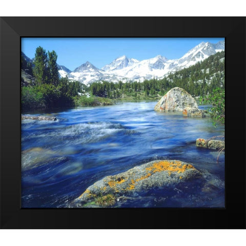 CA, Sierra Nevada Lichen covered rock in a creek Black Modern Wood Framed Art Print by Talbot Frank, Christopher