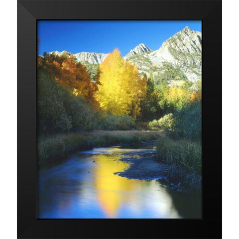 CA, Sierra Nevada Autumn along Bishop Creek Black Modern Wood Framed Art Print by Talbot Frank, Christopher