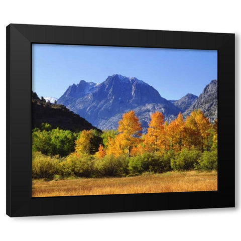 California, Autumn in the Sierra Nevada Mts Black Modern Wood Framed Art Print by Talbot Frank, Christopher