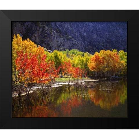 California, Sierra Nevada Autumn in the Sierras Black Modern Wood Framed Art Print by Talbot Frank, Christopher
