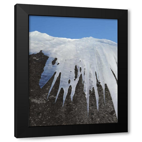 California, Sierra Nevada Icicles in the Sierra Black Modern Wood Framed Art Print with Double Matting by Talbot Frank, Christopher