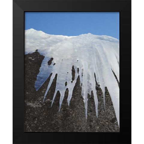 California, Sierra Nevada Icicles in the Sierra Black Modern Wood Framed Art Print by Talbot Frank, Christopher