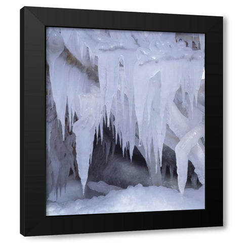 California, Sierra Nevada Icicles in the Sierra Black Modern Wood Framed Art Print by Talbot Frank, Christopher