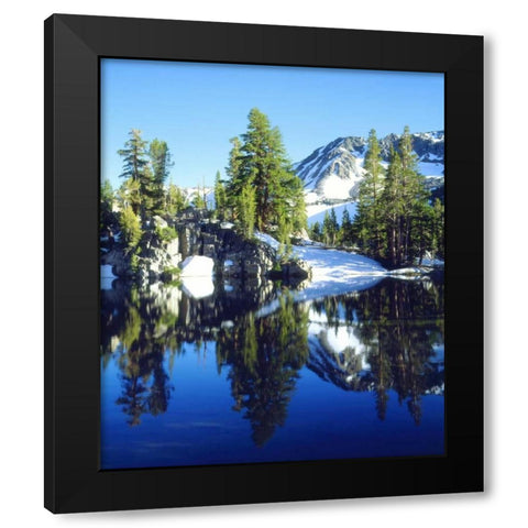 CA, Sierra Nevada Red firs reflecting in a tarn Black Modern Wood Framed Art Print by Talbot Frank, Christopher