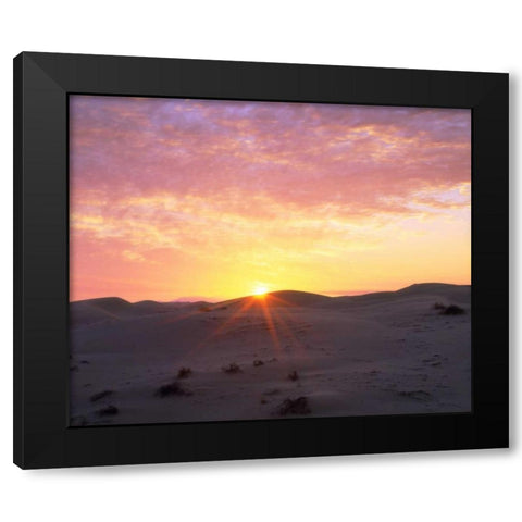 USA, California, Glamis Sand Dunes at Sunrise Black Modern Wood Framed Art Print by Talbot Frank, Christopher
