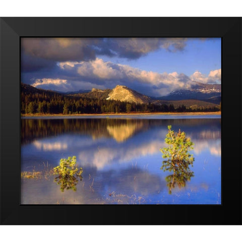 CA, Yosemite Lembert Dome and Tuolumne River Black Modern Wood Framed Art Print by Talbot Frank, Christopher
