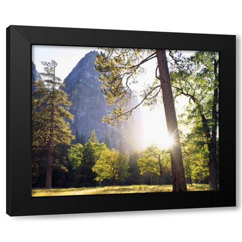 California, Yosemite Sunset through the forest Black Modern Wood Framed Art Print by Talbot Frank, Christopher