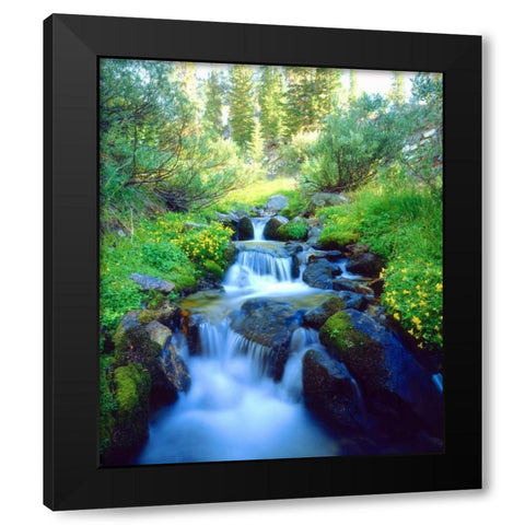 California Sky Meadows in the Sierra Nevada Mts Black Modern Wood Framed Art Print with Double Matting by Talbot Frank, Christopher