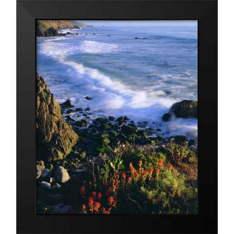 USA, Wildflowers along the California Coast Black Modern Wood Framed Art Print by Talbot Frank, Christopher