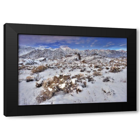 CA, Sierra Mts, Alabama Hills snowy landscape Black Modern Wood Framed Art Print with Double Matting by Welling, Dave