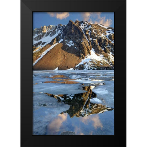 California, Sierra Nevada Ellery Lake Black Modern Wood Framed Art Print by Flaherty, Dennis