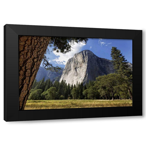 California, Yosemite View of El Capitan landmark Black Modern Wood Framed Art Print by Flaherty, Dennis